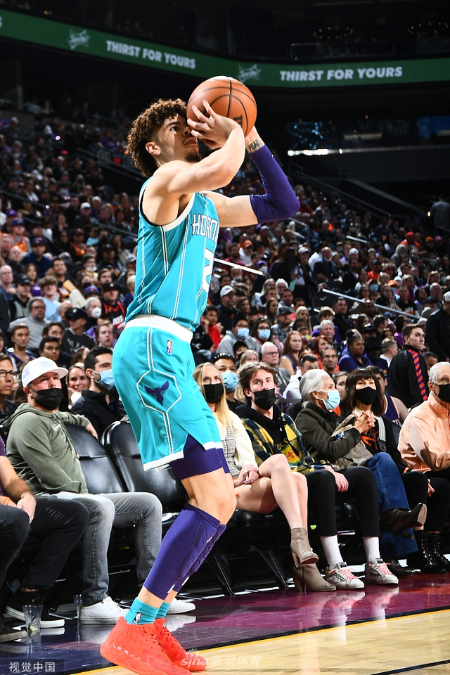 B费7分梅 B费7分梅