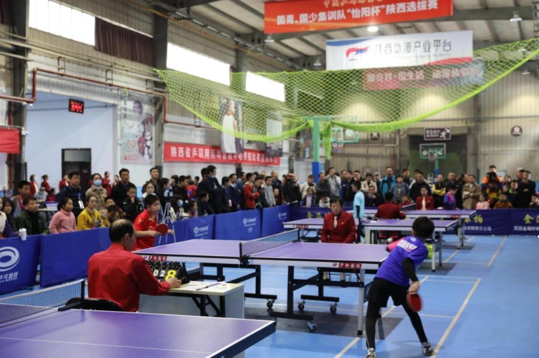 组合的潜力 组合的潜力