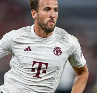 见的网络 见的网络